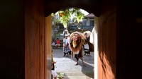 Yang terbaru, pada Oktober 2023, The World Tourism Organization (UNWTO) menobatkan Desa Penglipuran sebagai desa wisata terbaik 2023 bersama 54 desa lain di seluruh dunia.   