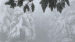 Dingin-dinginan di Turki: Main ke Gunung Uludag