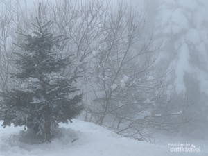 Dingin-dinginan di Turki: Main ke Gunung Uludag