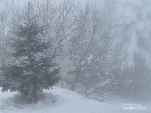 Dingin-dinginan di Turki: Main ke Gunung Uludag