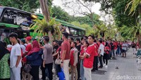 Saat itu ada tiga unit bus datang satu per satu menjemput suporter. Saat bus datang, para suporter pun berebut untuk masuk ke bus.