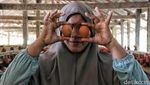 Ayam Petelur, Ladang Cuan Warga Desa Tritiro