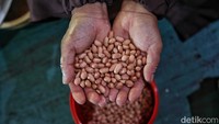 Makanan ringan ini berbahan dasar utama terigu dan kacang super. 