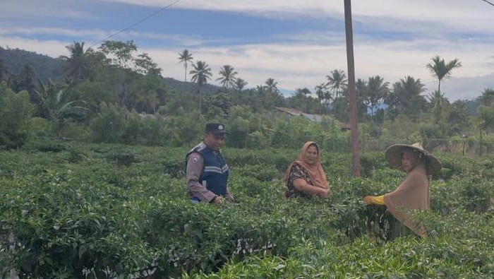 Bripka Adi Syafnur Arisal