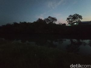 Asal-usul Cerita Buaya Putih Penghuni Sungai Kriyan Cirebon