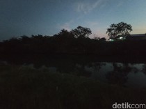 Asal-usul Cerita Buaya Putih Penghuni Sungai Kriyan Cirebon