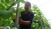 Berawal dari keisengan membantu petani di sekitar rumah orang tuanya, lambat laun ia mengaku menemukan kenyamanan saat bertani. Berbeda dengan petani setempat, Bowo memilih membudidayakan melon menggunakan metode hidroponik Nutrient Film Technique (NFT). Dengan metode ini, ia dapat menyesuaikan nutrisi, suhu, dan lainnya untuk menghasilkan melon yang berkualitas.  