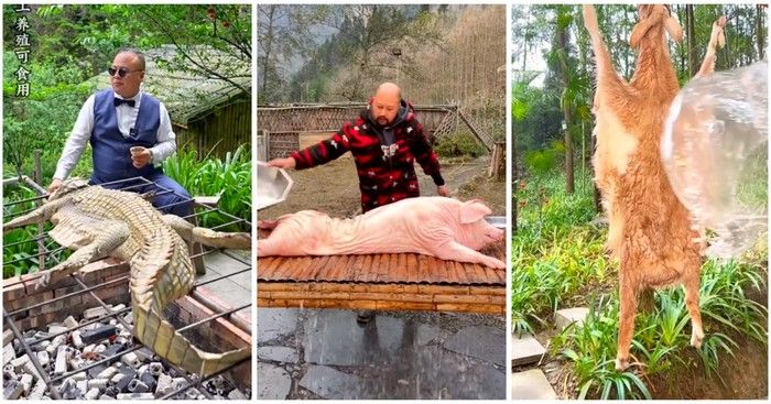 Masak Buaya Utuh hingga Olah Buntut Buaya, 5 Konten Makan Buaya Ini Bikin Heboh
