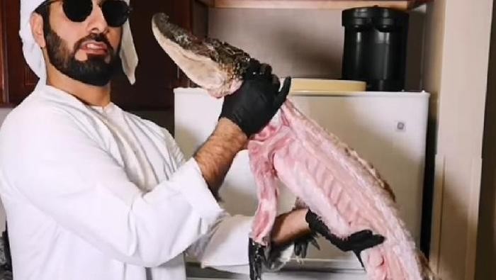 Masak Buaya Utuh hingga Olah Buntut Buaya, 5 Konten Makan Buaya Ini Bikin Heboh