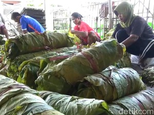 Petani Tembakau Tolak Keras Pengetatan Aturan Rokok, Ini Alasannya