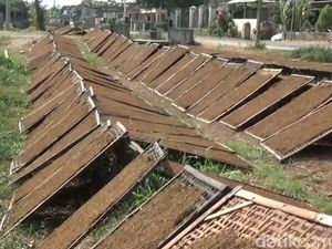 Hidup Terjamin Buruh Pabrik Rokok di Malang