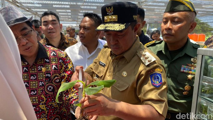 Pj Gubernur Sulsel Bahtiar Baharuddin.