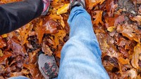 Berjalan di atas hamparan dedaunan memang terasa lain karena suara pijakan kita di dedaunan hutan Kota Kozakkenput.