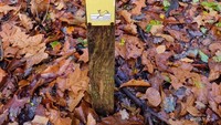 Papan penunjuk arah buat pejalan kaki di hutan Kota Kozakkenput.