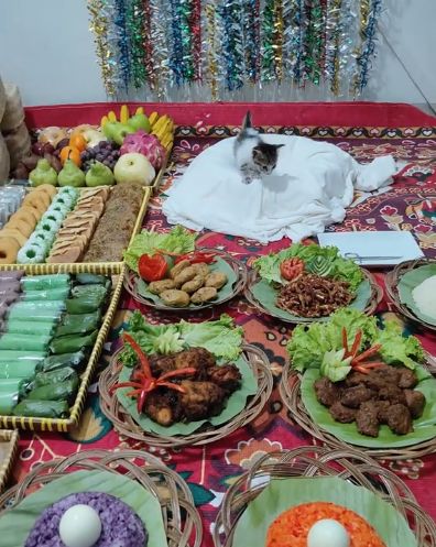 Viral! Acara Syukuran Penuh Makanan dan Kue Enak Ini Ternyata Buat Kucing