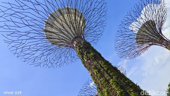 Hasil kamera tampak tajam dengan detail dan rentang warna yang sangat baik. Foto: Adi Fida Rahman/detikINET