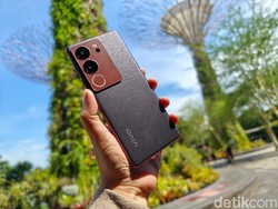 Harga HP Vivo V29 Juni 2024