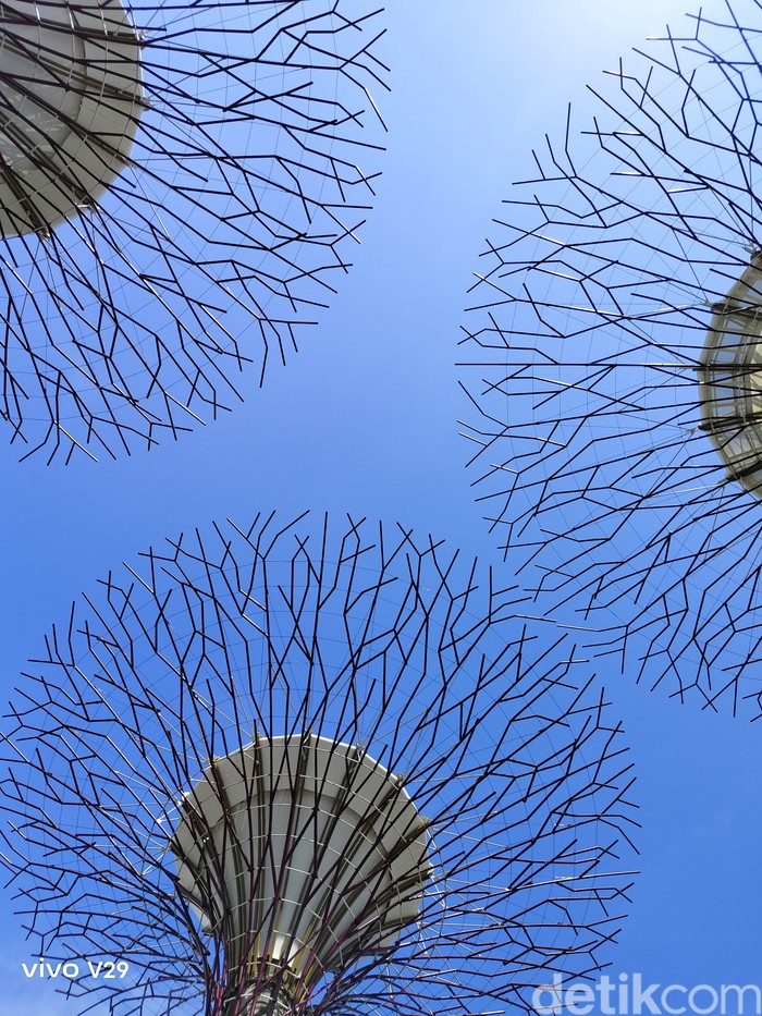 Vivo V29e Dipegang Alexa Tiara, PR Manager Vivo Indonesia