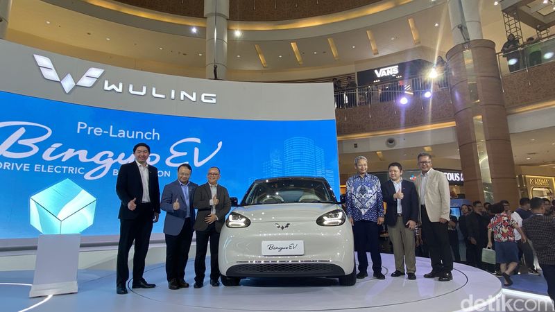 Wuling BinguoEV