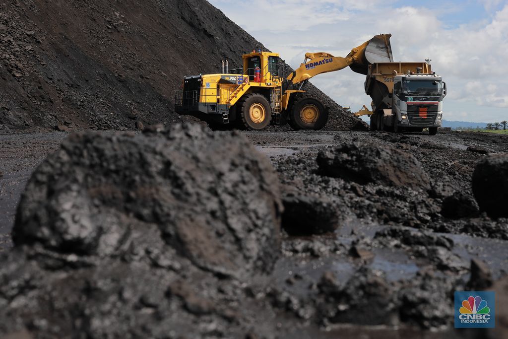 Aktivitas pertambangan batubara milik Bayan Resources di Tabang/Pakar, Kalimantan, Jumat (17/11/2023). (CNBC Indonesia/Muhammad Sabki)