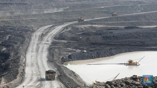Aktivitas pertambangan batubara milik Bayan Resources di Tabang/Pakar, Kalimantan, Jumat (17/11/2023). (CNBC Indonesia/Muhammad Sabki).