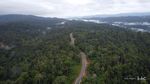 Belah Hutan Lebat! Ini Dia Jalan Muri-Kwatisore di Papua