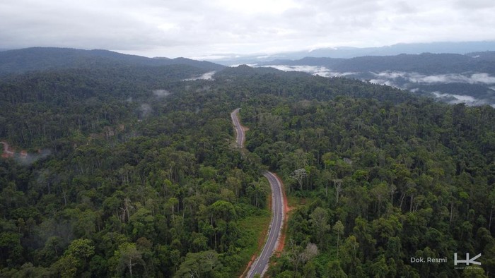 Belah Hutan Lebat! Ini Dia Jalan Muri-Kwatisore di Papua Belah Hutan Lebat! Ini Dia Jalan Muri-Kwatisore di Papua