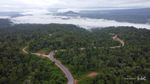 Belah Hutan Lebat! Ini Dia Jalan Muri-Kwatisore di Papua