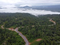 Belah Hutan Lebat! Ini Dia Jalan Muri-Kwatisore di Papua