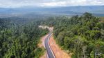 Belah Hutan Lebat! Ini Dia Jalan Muri-Kwatisore di Papua