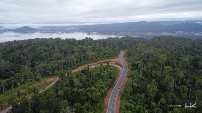 Belah Hutan Lebat! Ini Dia Jalan Muri-Kwatisore di Papua