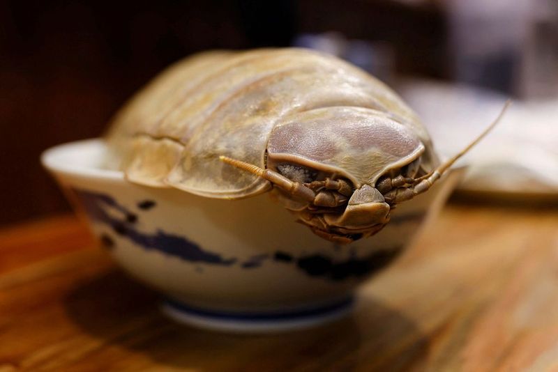 Berisi Cicak hingga Ular, 5 Makanan Ini Berhasil Bikin Heboh
