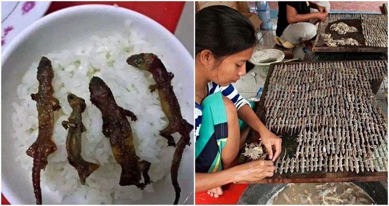 Berisi Cicak hingga Ular, 5 Makanan Ini Berhasil Bikin Heboh