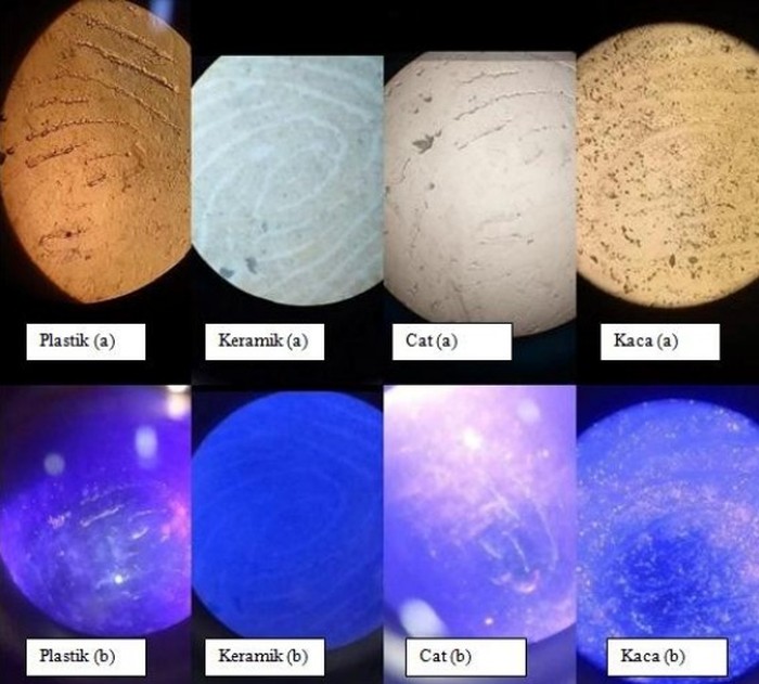 Biji kurma bisa menjadi bahan identifikasi sidik jari di dunia forensik