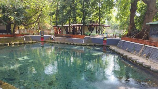 Destinasi Wisata Andalan di Tuban, Pemandian hingga Pantai