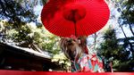 Gemasnya Anjing Berkimono Jalani Pemberkatan di Jepang