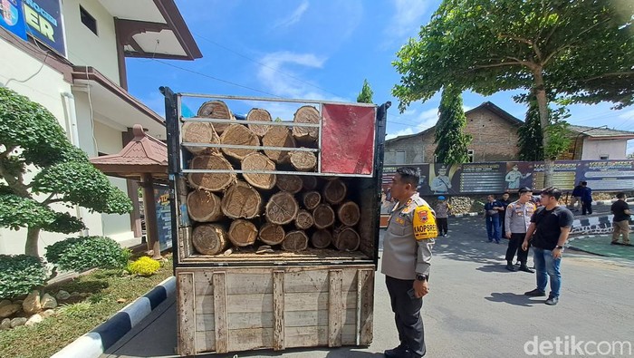 Barang bukti kayu sonokeling hasil illegal loging di Mapolres Wonogiri Jumat (17/11/2023).