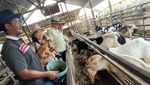 Inovasi Industri Kuliner dan Peternakan di Sangatta Kaltim