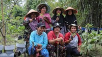 Dengan bermodalkan ilmu dari hasil pelatihan dan pendidikan yang difasilitasi oleh Badan Restorasi Gambut dan Mangrove (BRGM) Indonesia pada tahun 2018, Theti mulai menyebarluaskan ilmu yang dia dapat dengan membentuk Kelompok Wanita Tani (KWT) Tampelas Raya dengan berisikan 10 orang. 
