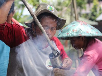 Inspirasi dari Theti, Mengolah Lahan Gambut Tanpa Membakar