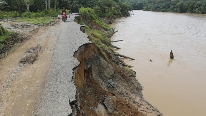 Jalan lintas nasional terancam putus di Aceh Barat Pengendara melintas di jalan lintas nasional Medan-Banda Aceh yang amblas digerus erosi sungai di Desa Peuribu, Arongan Lambalek, Aceh Barat, Aceh, Jumat (17/11/2023). Jalan lintas nasional tersebut terancam putus akibat sisi badan jalan digerus erosi sungai akibat tingginya intensitas hujan dan meningkatnya debit air sungai sehingga dapat mengancam keselamatan pengendara yang melintas. ANTARA FOTO/Syifa Yulinnas/Spt.