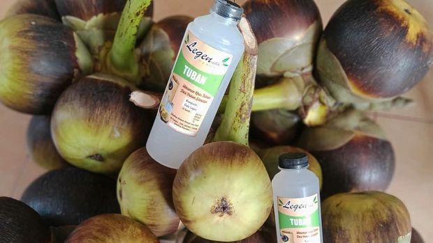 Legen merupakan minuman khas Tuban yang diambil dari pohon Lontar atau Siwalan. Minuman ini merupakan salah satu produk unggulan daerah Tuban, karena disajikan tanpa campuran bahan pengawet, akan tetapi dapat bertahan selama 12 hari dalam kondisi dingin, lho.