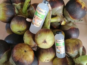 7 Kuliner Khas Kabupaten Tuban, Ada Rujak hingga Legen
