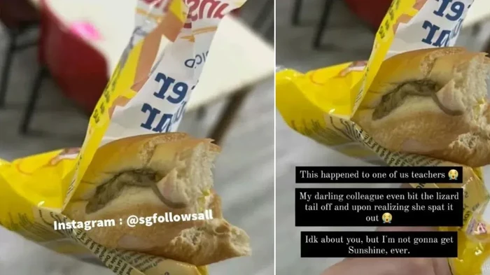 Makan Roti Kemasan, Wanita Ini Temukan Bangkai Cicak di Dalam Rotinya