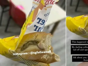 Roti Isi Bangkai Cicak yang Bikin Kesal