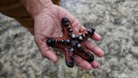 Pantai eksotis ini ternyata memiliki arti bagi masyarakat setempat. Asal mula kata Samboang berasal dari kata Sembo. Dalam bahasa Konjo orang Bono Tiro memiliki arti bersenang-senang. Hal tersebut karena panoramanya yang menawan dengan lekuk bibir pantai landai, sekaligus terumbu karang yang tumbuh dan hidup tidak jauh dari pantai.   