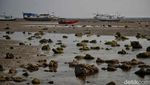 Menikmati Desiran Air Pantai Samboang Bulukumba