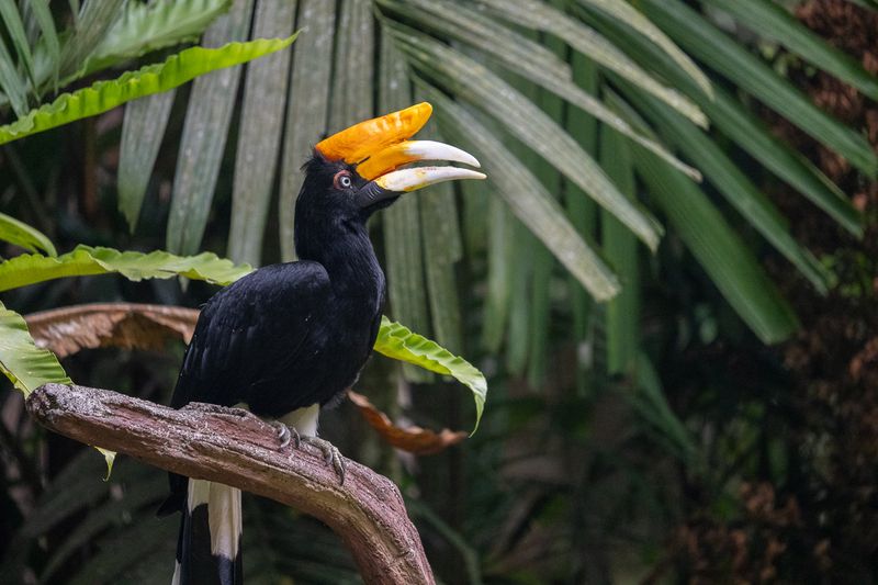 Review Lensa Tamron 150-500mm Untuk Nikon Z