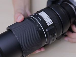 Review Lensa Tamron 150-500mm Untuk Nikon Z, Cocok Potret Sport dan Satwa