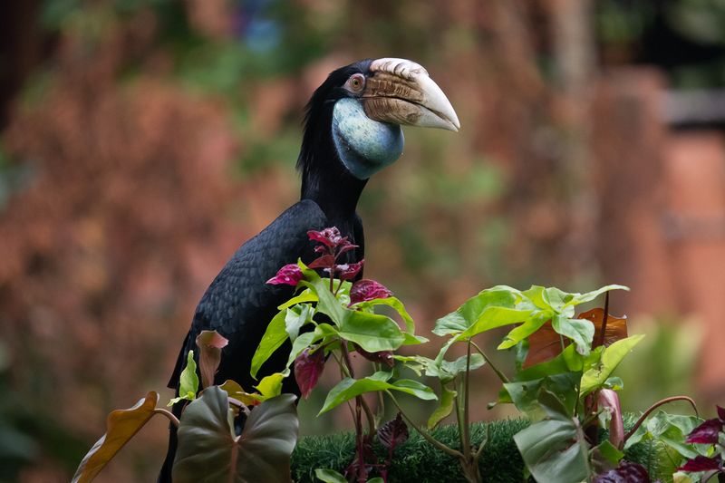 Review Lensa Tamron 150-500mm Untuk Nikon Z